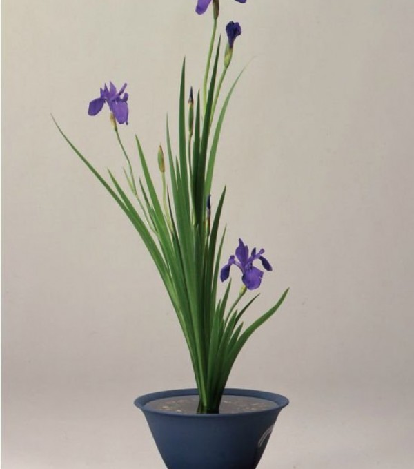 los-8-estilos-del-ikebana-04