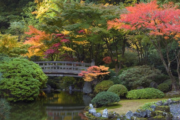 fall, Portland Japanese Garden, Portland, Oregon, Moonbridge and Strolling Pond surrounded by fall maples