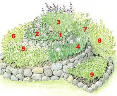 Cómo crear un jardín de hierbas aromáticas en espiral
