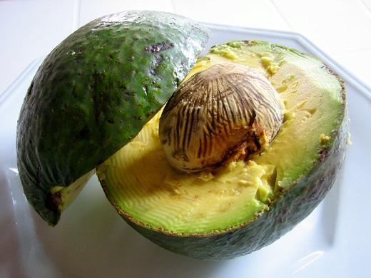 como-germinar-semillas-de-aguacate-con-exito-06