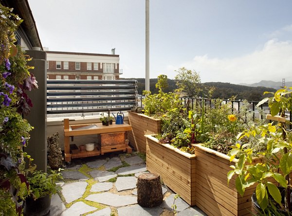 transforma-tu-terraza-en-un-oasis-urbano-11