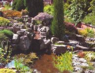 Ideas y consejos para crear jardines de rocas