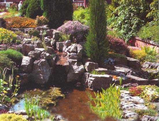 Ideas y consejos para crear jardines de rocas