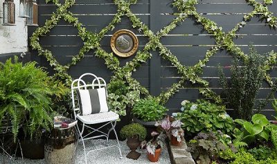 Cómo hacer un elegante y sencillo enrejado de plantas