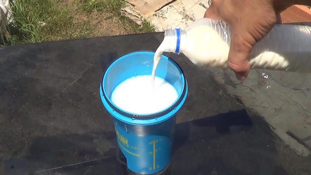 fungicida-con-leche-para-combatir-los-hongos