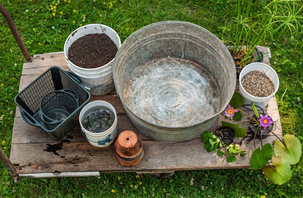 crear-un-jardin-acuatico-en-un-contenedor-0