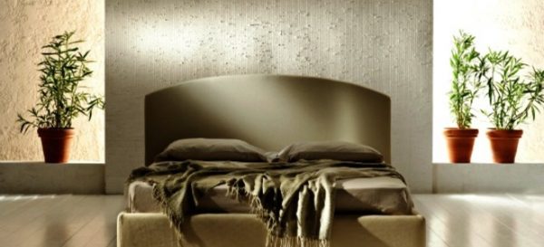 las-plantas-que-crecen-bien-en-habitaciones-oscuras-01