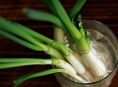 imagen Cómo cultivar tallos de cebolletas en agua