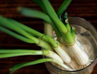 imagen Cómo cultivar tallos de cebolletas en agua