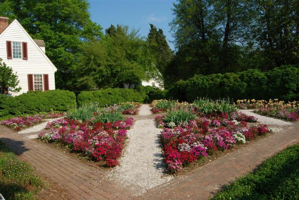 consejos-basicos-para-disfrutar-de-un-bonito-jardin-01