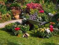 imagen Consejos básicos para disfrutar de un bonito jardín