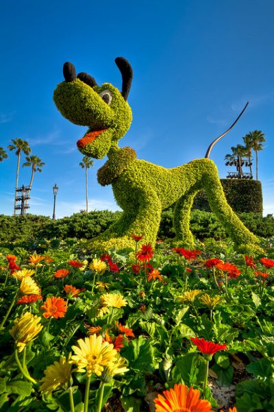 Decora tu jardín con topiarios