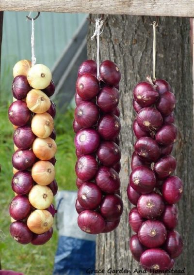 Cómo trenzar cebollas para guardar