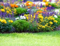 imagen Cosas que hacer en primavera para tener un jardín perfecto