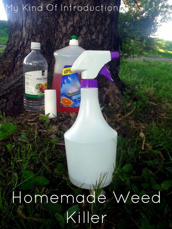 17 homemade solutions against weeds 4