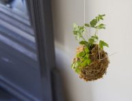 imagen Cómo hacer un kokedama paso a paso