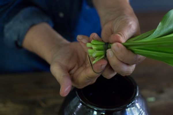 Cómo cultivar y usar las calas