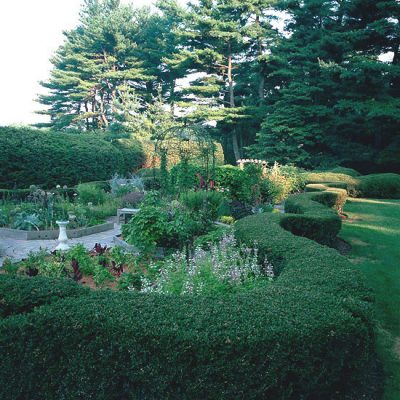 Ideas fáciles de paisajismo