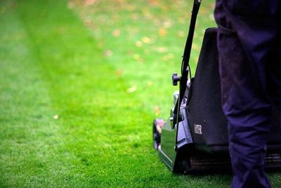 Cómo cortar correctamente el césped