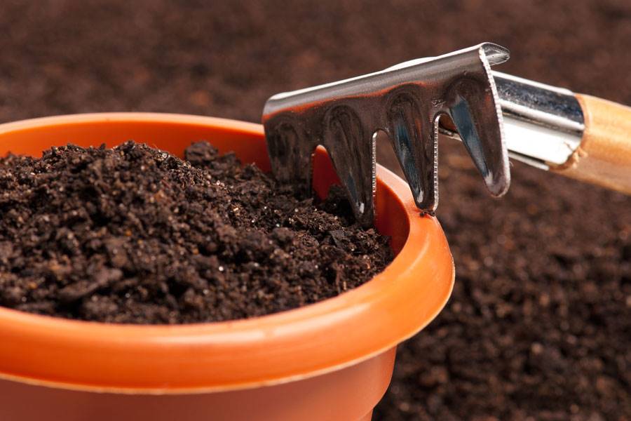 Cuáles son los pros y las contras de los compost para macetas