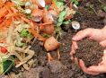 imagen Uso del abono ecológico y su eficacia