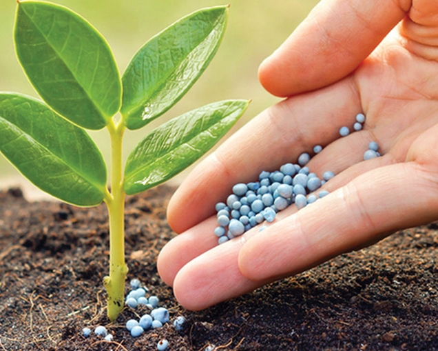 Abonos minerales para las plantas