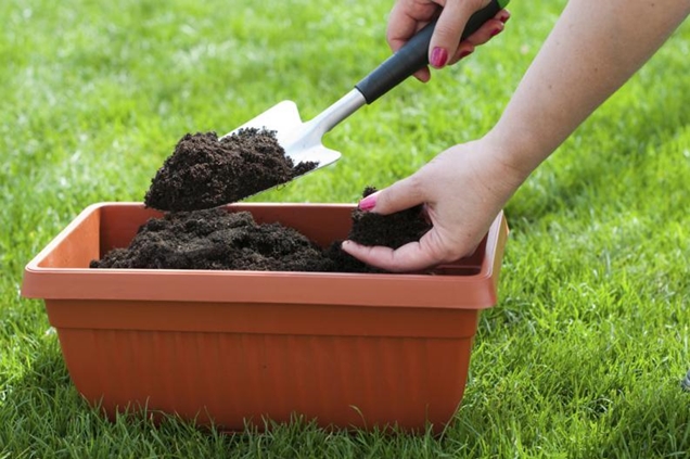 asentamiento Evacuación Teseo Abonos orgánicos para las plantas