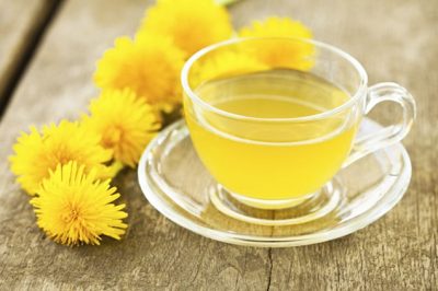 Guía de Jardinería | Blog de jardinería con consejos e información para