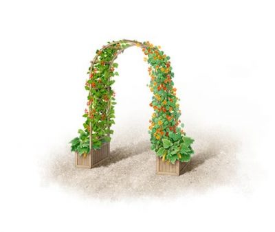 6 Estilos de arcos para tu jardín