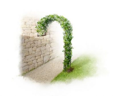6 Estilos de arcos para tu jardín
