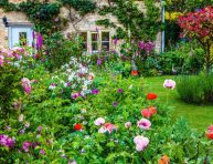 imagen Consejos para crear un jardín inglés (cottage garden)