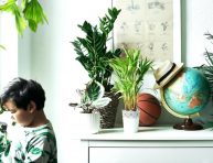 imagen 7 mejores plantas para el dormitorio infantil