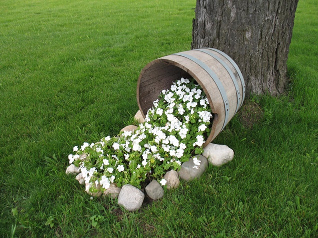 15+ macetas derramadas para decorar tu jardín