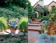 imagen 9 maneras de utilizar plantas ornamentales en tu jardín