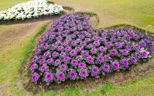 10 ideas de jardines de flores que son un encanto