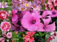 imagen 17 flores rosadas que deberías plantar en tu jardín
