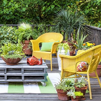 Magnificas ideas para realzar la belleza de tu jardín
