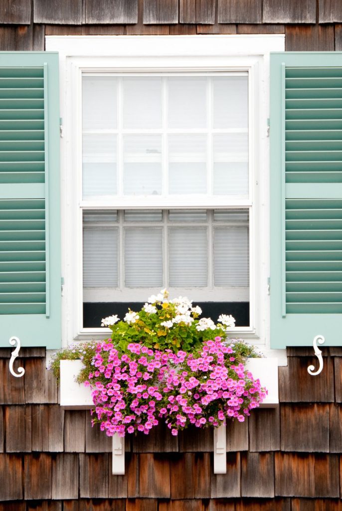 Magnificas ideas para realzar la belleza de tu jardín