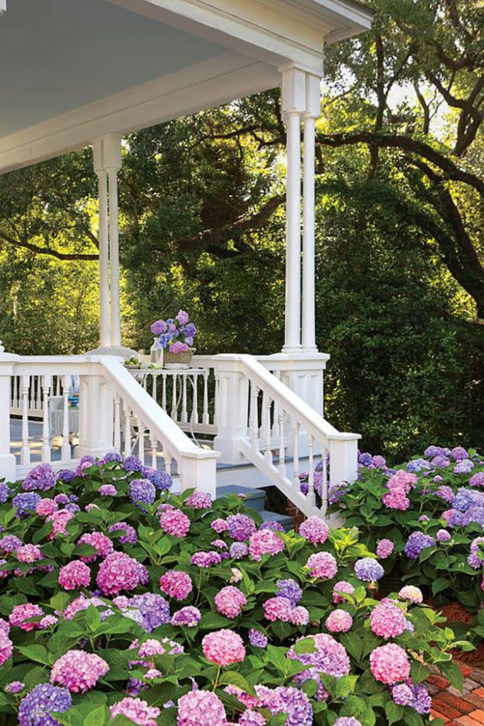 16 ideas de jardines de hortensias de ensueño