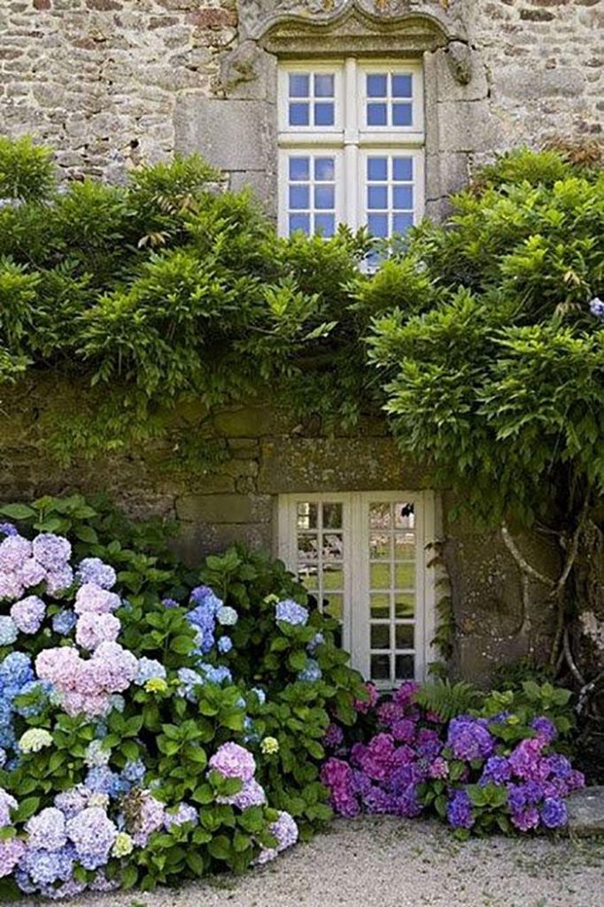 16 ideas de jardines de hortensias de ensueño