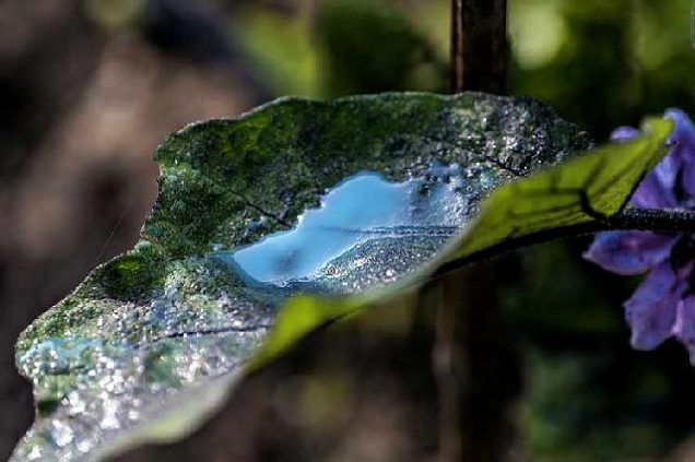 Usos del cobre en el jardin