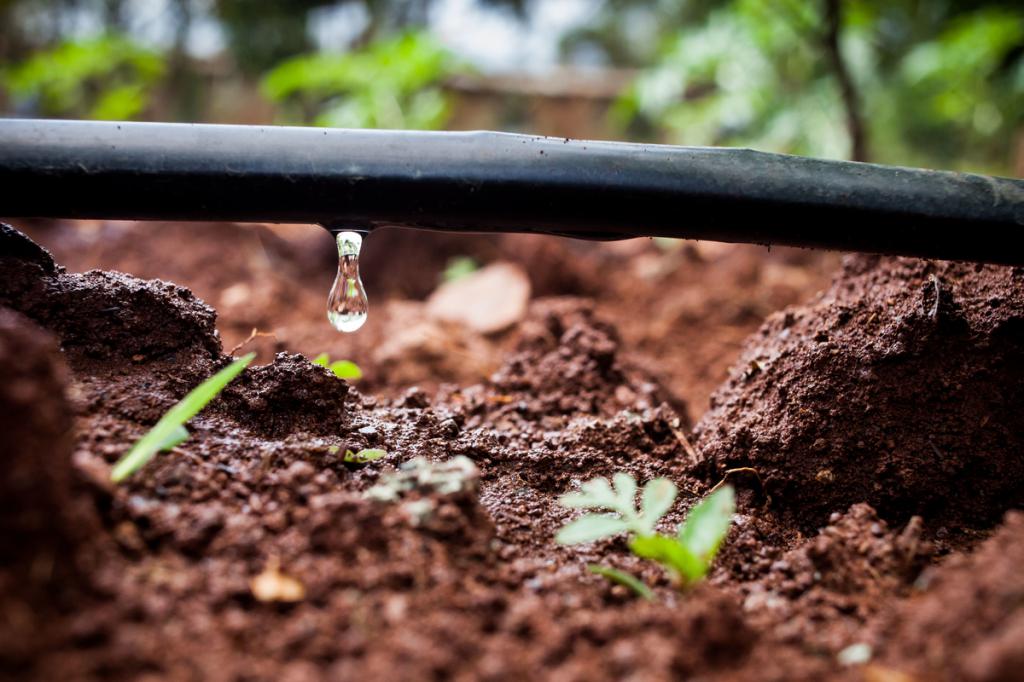 rehén Concurso probable Método para medir la humedad del suelo en los jardines
