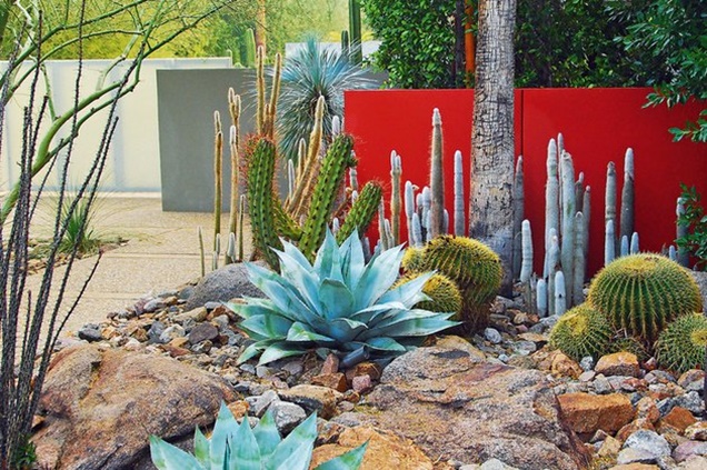 jardin del desierto