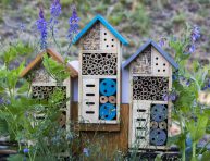 imagen Cómo crear un hotel de insectos para el jardín