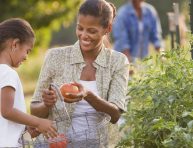 imagen Plantas fáciles y seguras de cultivar por los niños