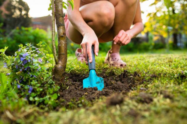 cuidado del jardin