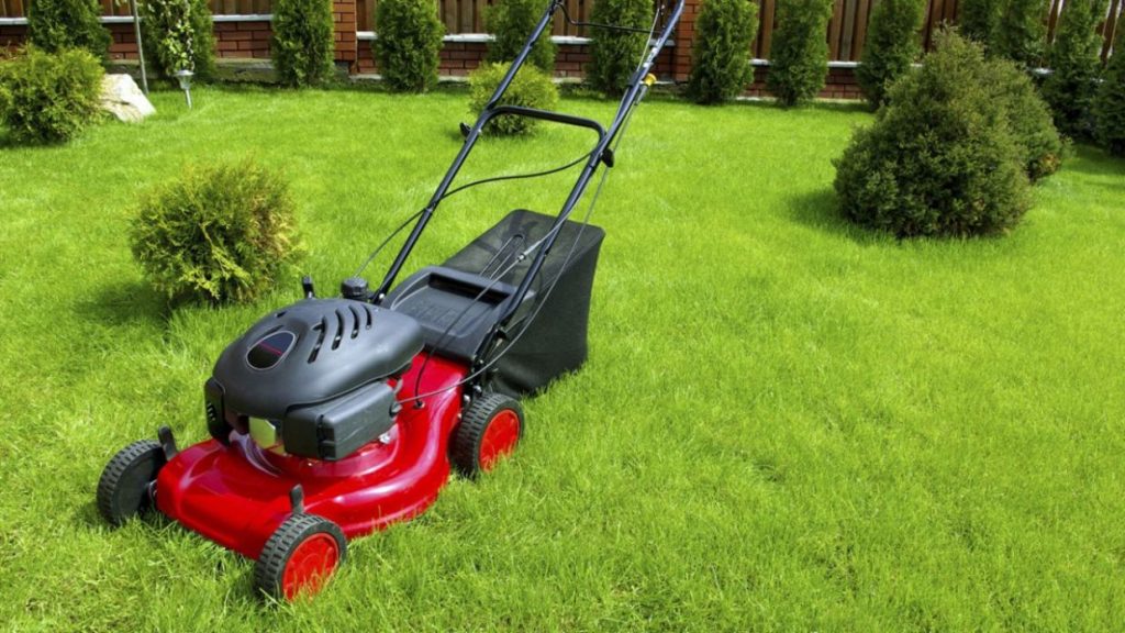 Guía y consejos sobre cómo usar un cortacéspedGuía de Jardinería