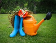 imagen Consejos para cuidar tu jardín durante la cuarentena