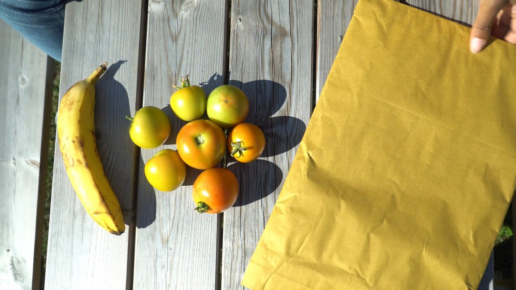Cómo madurar tomates verdes fuera de la planta