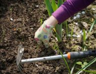 imagen Tareas esenciales de limpieza de jardín en primavera